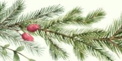 Concerto Sabin 18 dicembre 2025