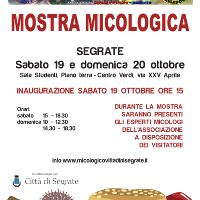 Mostra micologica 2024