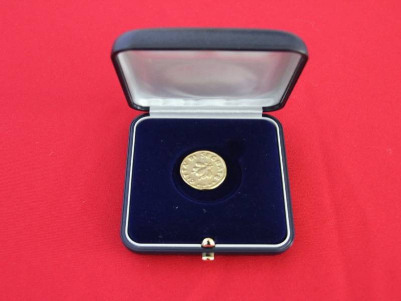 Cerchiamo le Api d'Oro 2026, cittadini esemplari in ogni ambito del quotidiano
