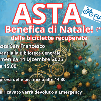 Asta benefica di Natale