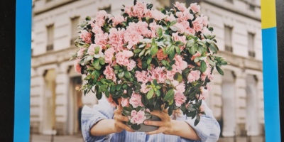 Azalea della Ricerca 11 maggio