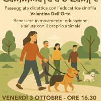 Camminata a 6 zampe