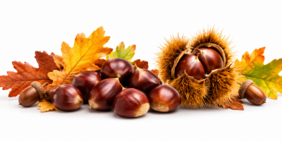 Castagne con gli Alpini