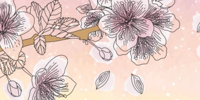 Concerto lirico L'Alba del Belcanto 