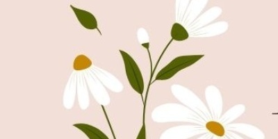 Maestre seconda edizione