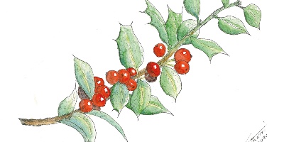 Mostra Paolo Ceretti 