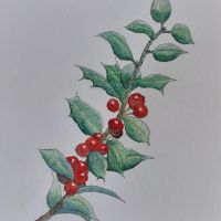 Mostra di Paolo Ceretti Mostra di Paolo Ceretti