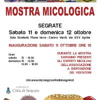 Mostra micologica 2025