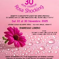 Rosa Shocking 2025