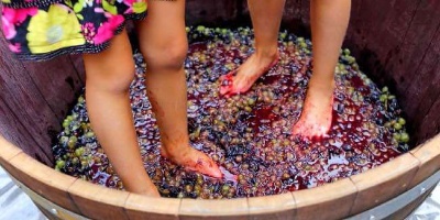 Vendemmia bambini - la pigiatura
