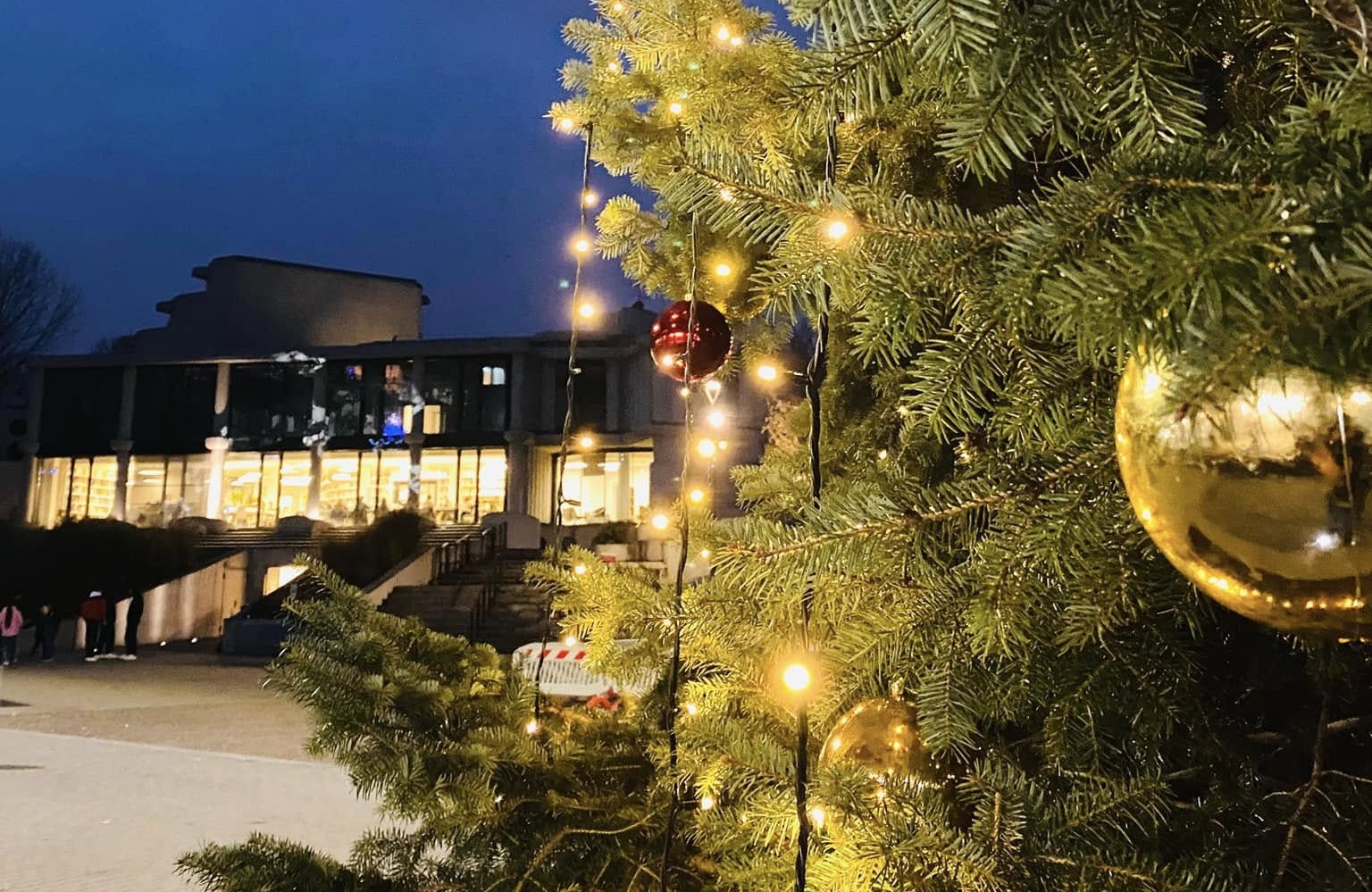 Accensione Albero 2025 