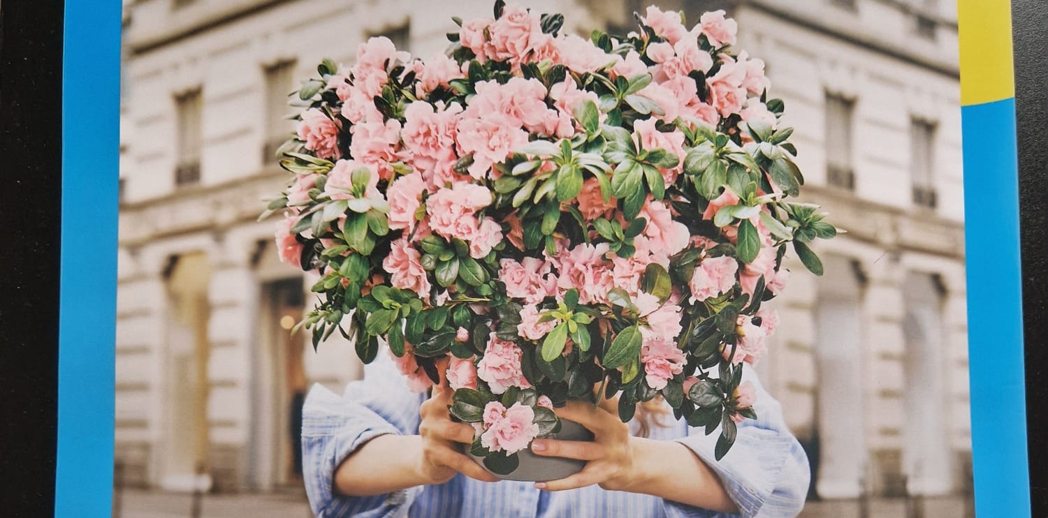 Azalea della Ricerca 11 maggio 
