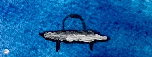 Concerto per Paolo 13 marzo 2026 