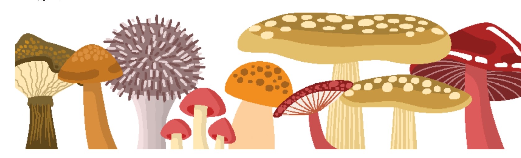 Mostra micologica 